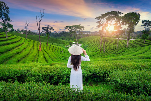 Best of Kerala